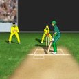 Cricket Overdose Game